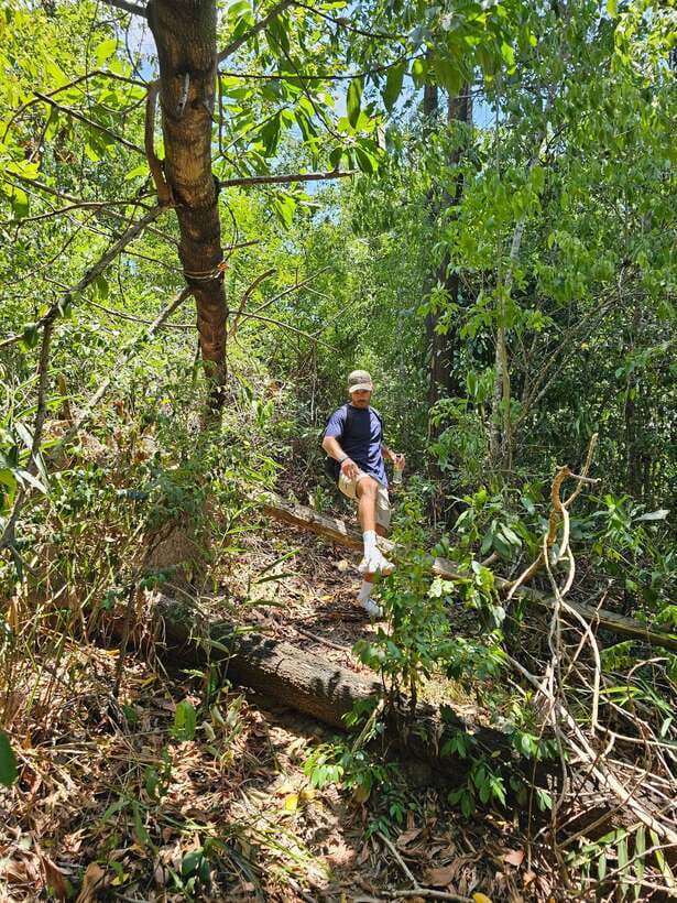 Hoi An: Amazing My Son Sanctuary and Mountain Trekking - The mountain trek: rough paths and quiet water