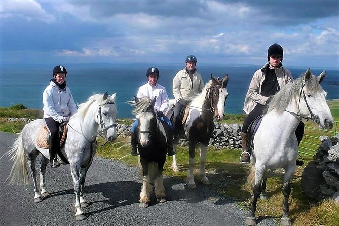 Horse riding - Dirt Trek Trail. Lisdoonvarna, Clare. Guided. 1 hour. - What happens before you leave the yard