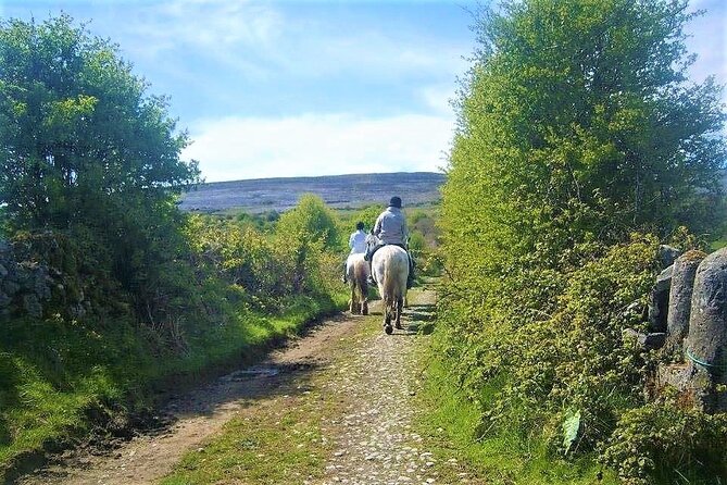 Horse riding - Dirt Trek Trail. Lisdoonvarna, Clare. Guided. 1 hour. - Why the one-hour length helps, and where it falls short