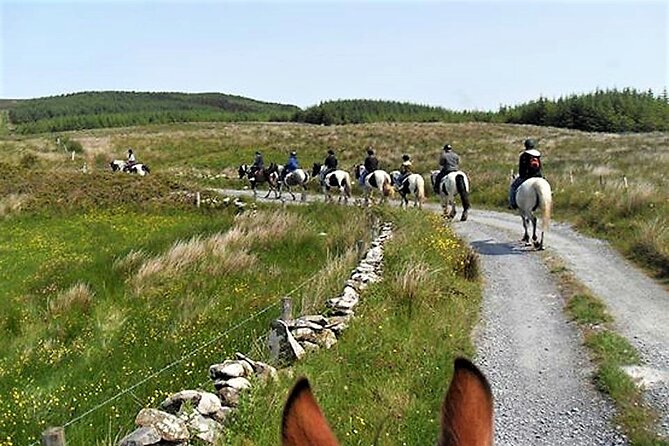 Horse riding - Dirt Trek Trail. Lisdoonvarna, Clare. Guided. 1 hour. - A family outing with a personal feel