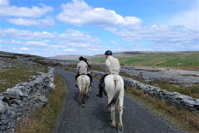 Horse riding - Dirt Trek Trail. Lisdoonvarna, Clare. Guided. 1 hour. - Practical details before you book