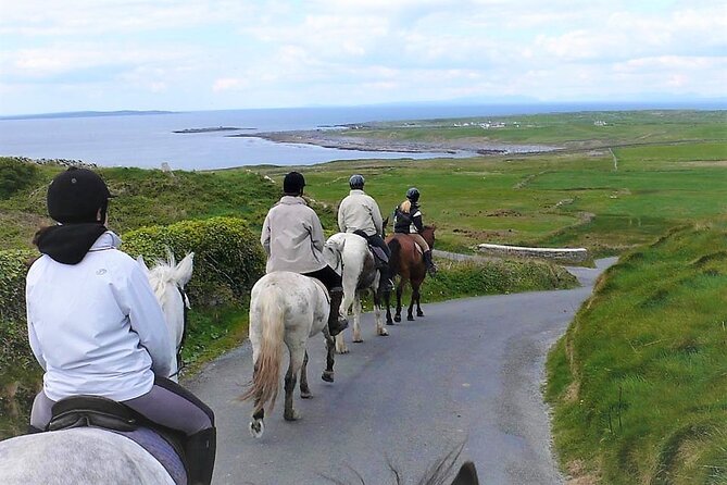 Horse riding - Dirt Trek Trail. Lisdoonvarna, Clare. Guided. 1 hour. - A good first ride for nervous beginners