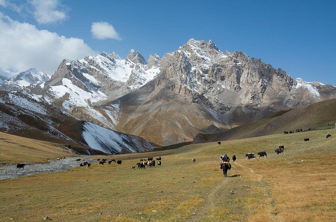 Horse Trek to Kel Suu Lake - Day 6: Back to Bishkek by early afternoon