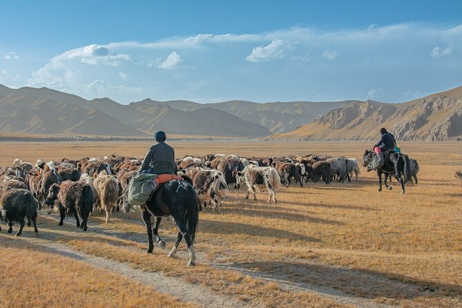 Horse Trek to Kel Suu Lake - What the $1,400 price really covers