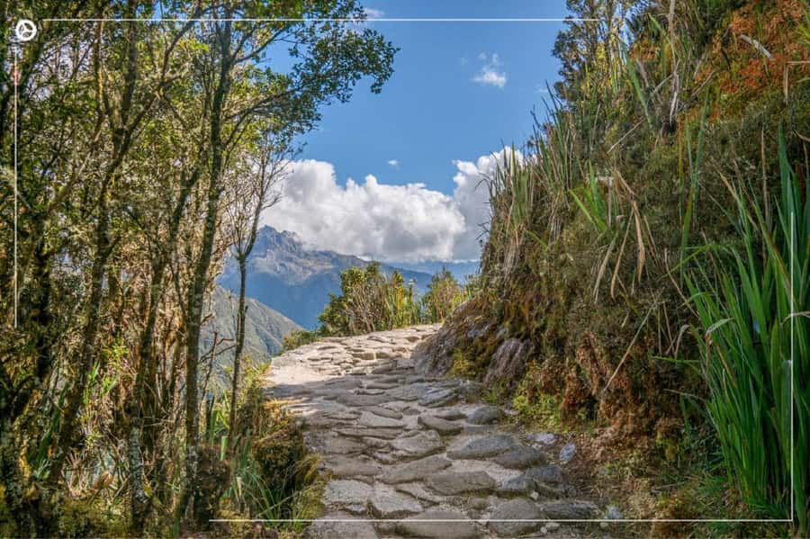 Inca Trail 2 days to Machu Picchu - Wiñayhuayna gives day one its character
