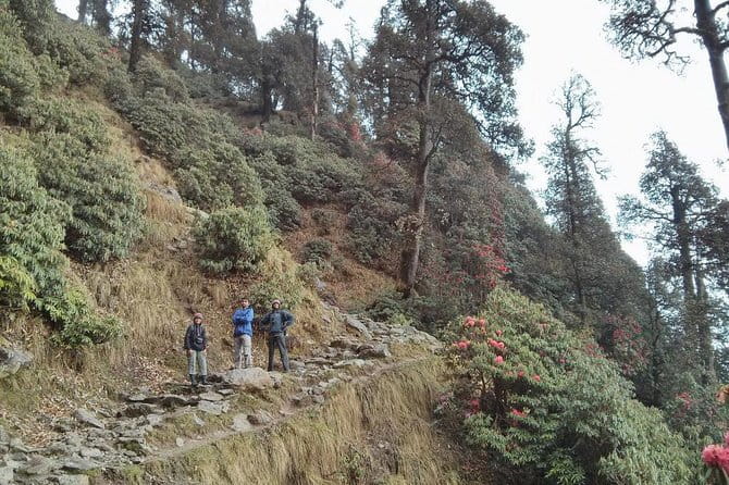 Indrahar Pass Trek with Manu Adventures India - What the summit day may feel like