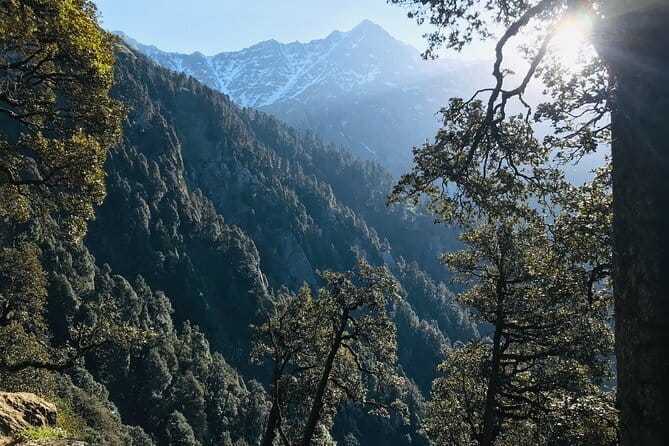 Indrahar Pass Trek with Manu Adventures India - Camping, food, and the human side of the trek