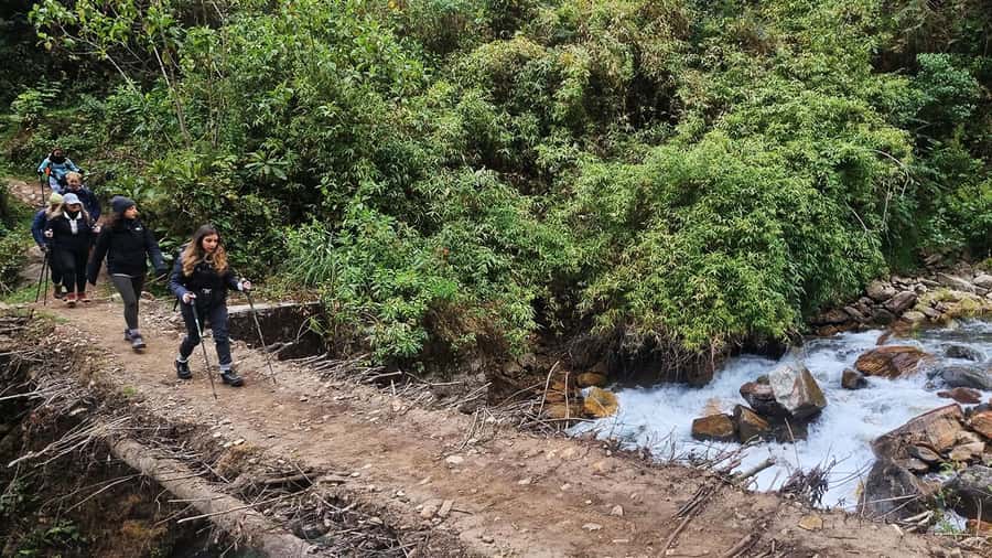 Inka Jungle trek to Machu Picchu 3 D/ 2 N - Day 3: Sunrise and the main Machu Picchu visit