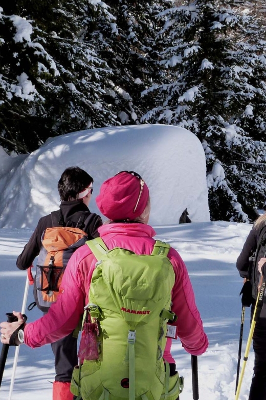 Innsbruck: Priv. Guided Snowy Mountain Hike /Snowshoe´s - What makes this snowshoe day special