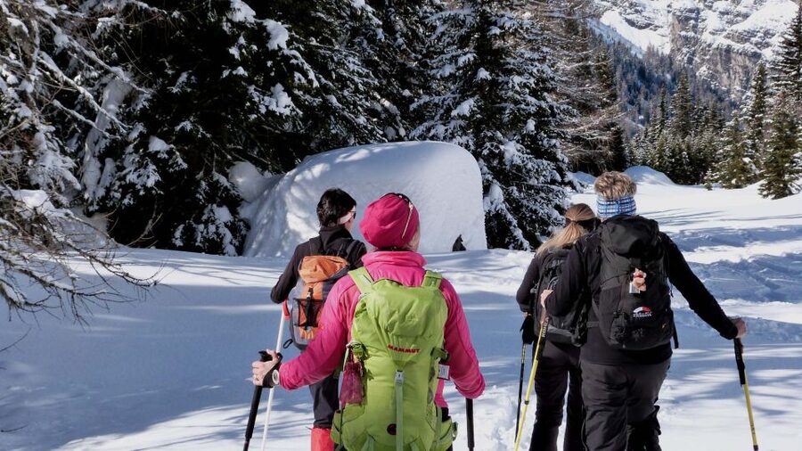 Innsbruck: Priv. Guided Snowy Mountain Hike /Snowshoe´s - Hochmahd, Patscheralm, and Boscheben
