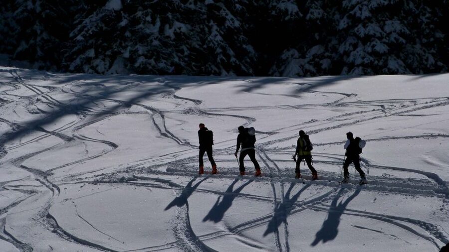 Innsbruck: Priv. Guided Snowy Mountain Hike /Snowshoe´s - What the walking feels like for a first-timer