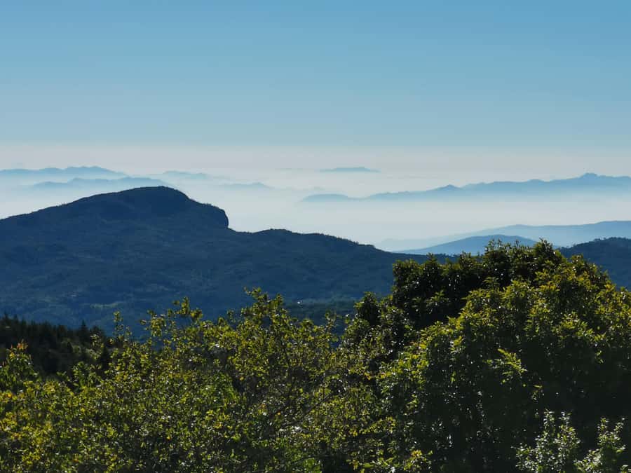 Inthanon national park, Trekking and Sightseeing in one day. - The real cost and what you receive