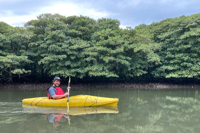 Iriomote’s Adventure: Pinaisara Falls Canoe and Trekking Tour - The 9:00 a.m. start at Uehara Port