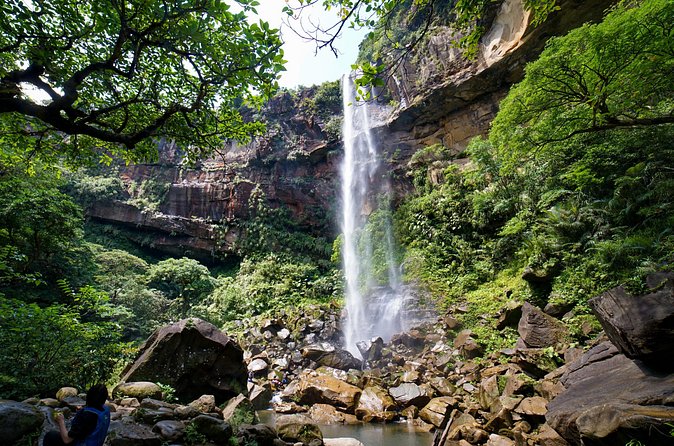 Iriomote’s Adventure: Pinaisara Falls Canoe and Trekking Tour - Seeing Pinaisara Falls from the top
