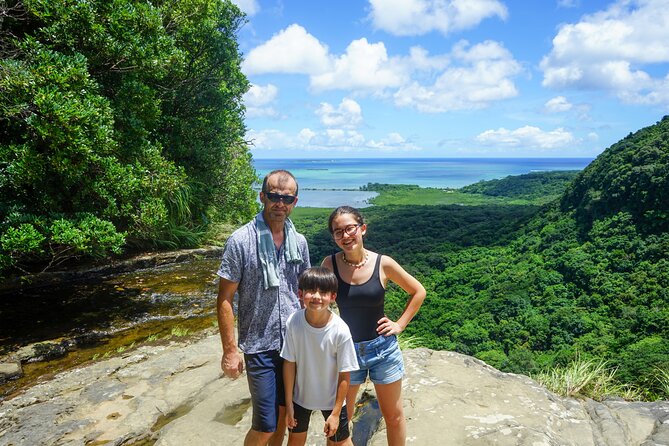 Iriomote’s Adventure: Pinaisara Falls Canoe and Trekking Tour - The forest trek to the waterfall