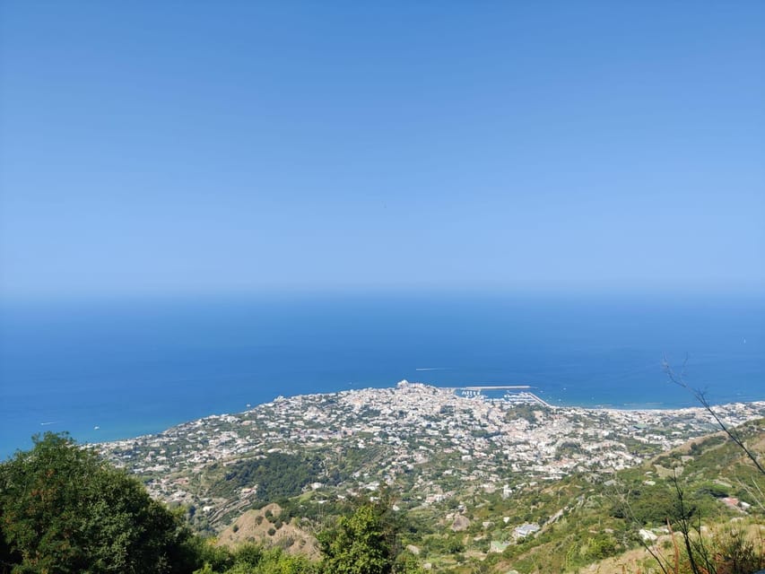 Ischia: Epomeo summit hike - Through forest, rock, and green tuff
