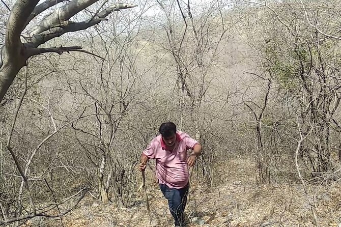 Jaipur Trekking and Hiking Tour with Guide - Is $56.74 a fair price?
