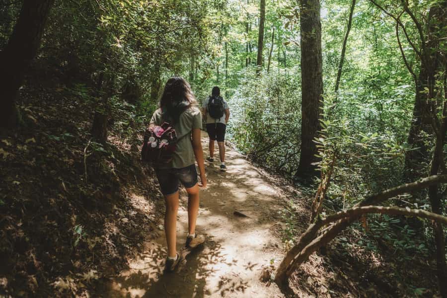 Jakarta: Botanical Garden & Rainforest Trekking to Waterfall - Key points to know before booking