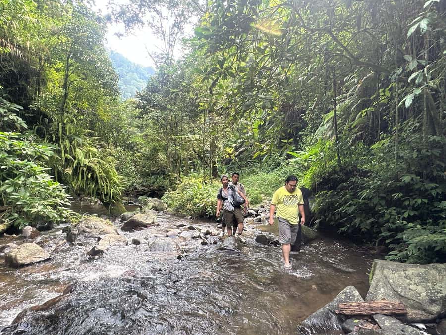 Jakarta: Botanical Garden & Rainforest Trekking to Waterfall - A local Indonesian lunch in Bogor