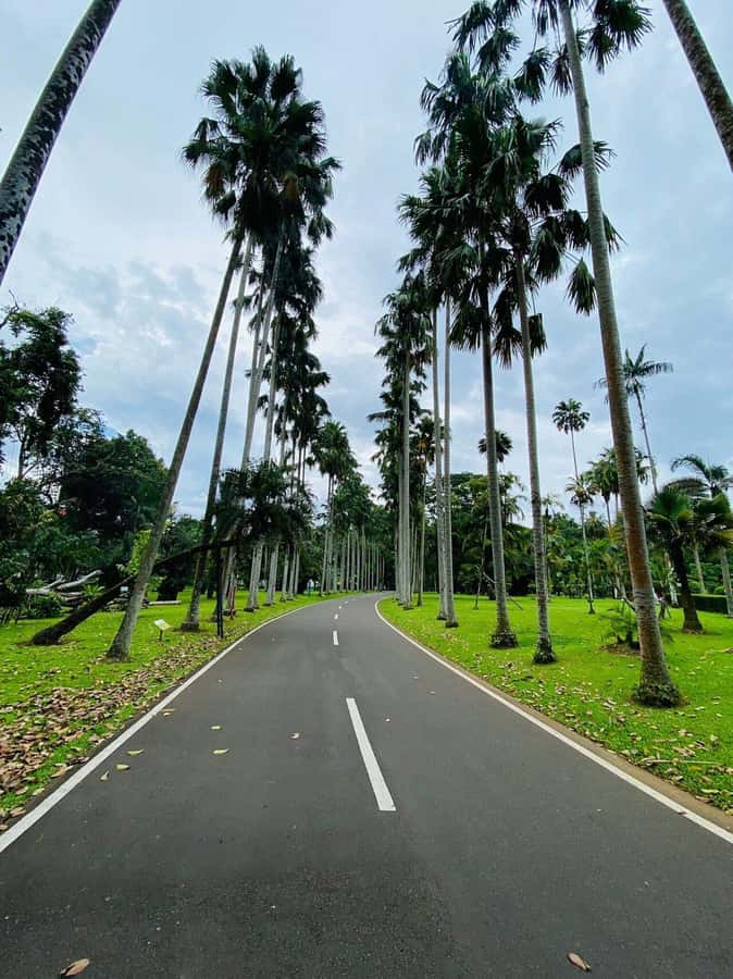 Jakarta: Botanical Garden & Rainforest Trekking to Waterfall - What the $101 price really covers