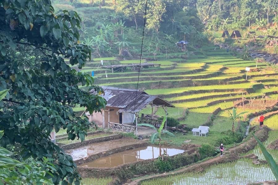 Jakarta: Sentul Pine Forest and Waterfall Trekking Tour - Lunch and local food after the trek