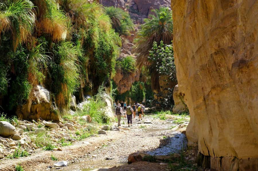 Jordan Trail: Dana to Petra 4-Day Trekking Tour - Is the $499 price good value?