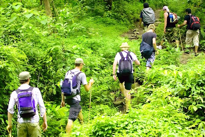 Jungle Trekking and Tamblingan Lake Canoeing in Bali Rainforest - Why Tamblingan Lake makes a good change from coastal Bali