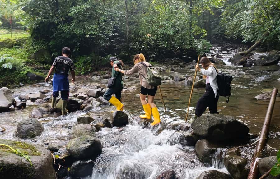 Jungle Trekking at Mt. Batukaru, scenic Waterfall & village - Two hours under Mount Batukaru’s trees