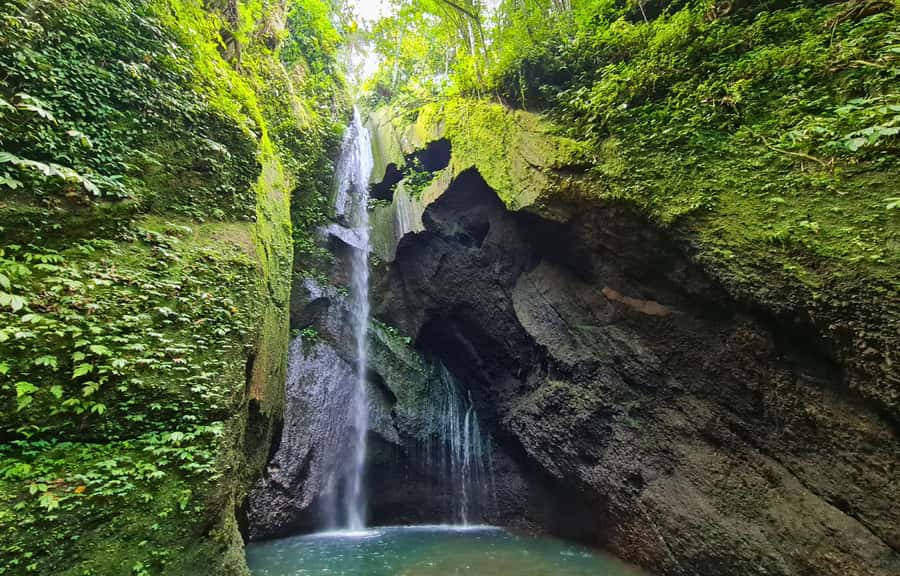 Jungle Trekking at Mt. Batukaru, scenic Waterfall & village - A homemade lunch at Warung Balikaru