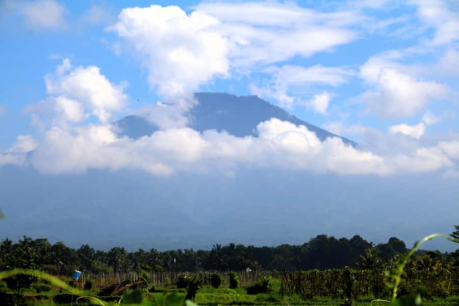Jungle Trekking at Mt. Batukaru, scenic Waterfall & village - What the $83 price includes
