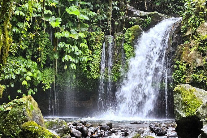 Jungle Trekking at Mt. Batukaru, scenic Waterfall & village life - Key points to know before you book
