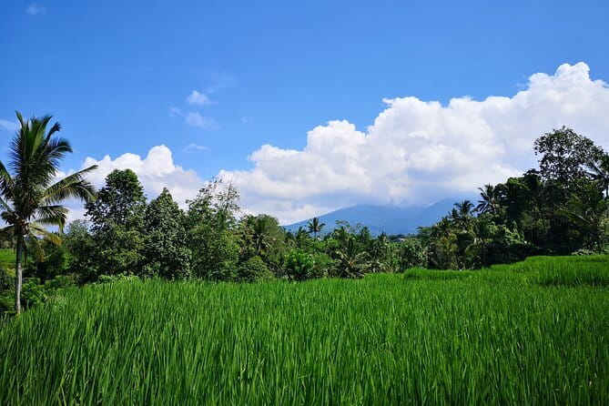 Jungle Trekking at Mt. Batukaru, scenic Waterfall & village life - Why Mount Batukaru makes a fine change from beach Bali