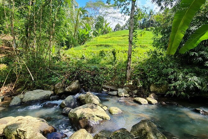Jungle Trekking at Mt. Batukaru, scenic Waterfall & village life - The Mount Batukaru rainforest walk
