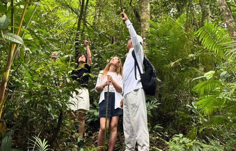 Jungle Trekking at Mt. Batukaru, scenic Waterfall & village - Pura Luhur Batukaru and the forest entrance
