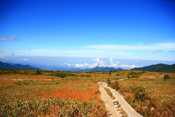 Kanazawa Day Tour: Shomyo Falls & Tateyama Mountain Walks - Midagahara Wetlands and the bento lunch