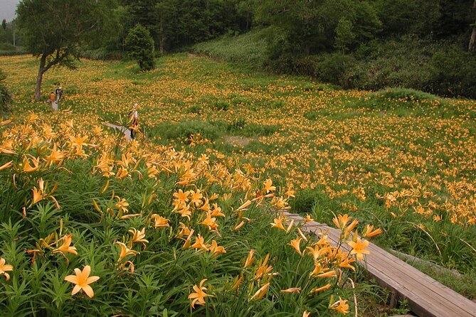 Kanazawa Day Tour: Shomyo Falls & Tateyama Mountain Walks - The guide, group size, and pace