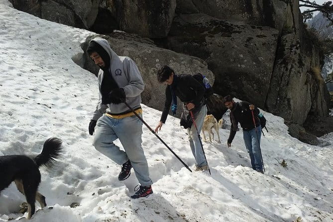 Kareri Lake Trek & Indrahar Pass Trek - Day 1: Dharamsala to Kareri village and Rioti