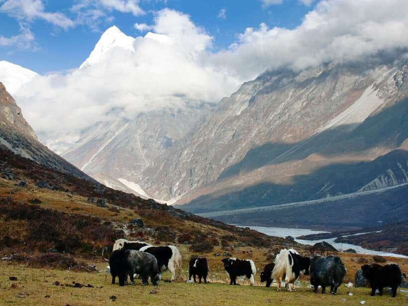 Kathmandu: 6 Days Langtang Valley Trek with Kyanjin Ri - Day 3: Reaching Kyanjin Gompa at 3,870 meters