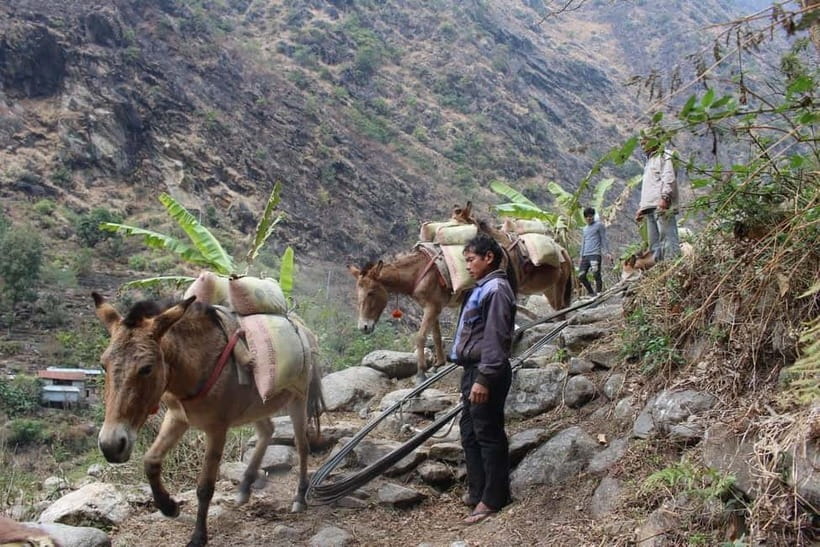 Kathmandu: 9-Day Annapurna Circuit Trek via Thorong La Pass - Day 8: Thorong La to Muktinath