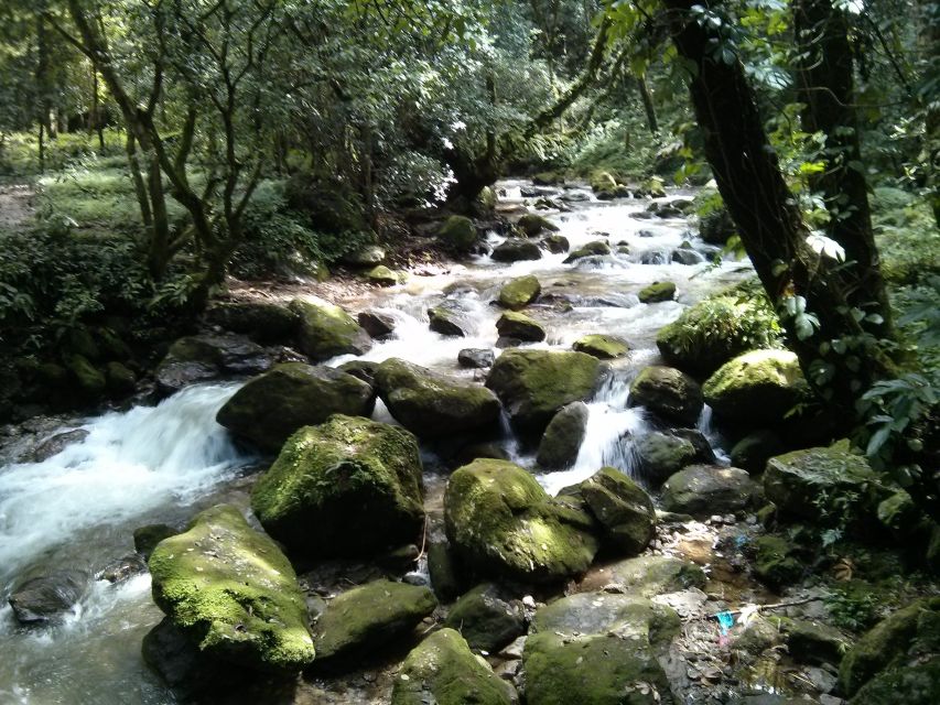 Kathmandu: Chisapani Nagarkot 3-Days 2-Nights Trek - Key points to know before booking