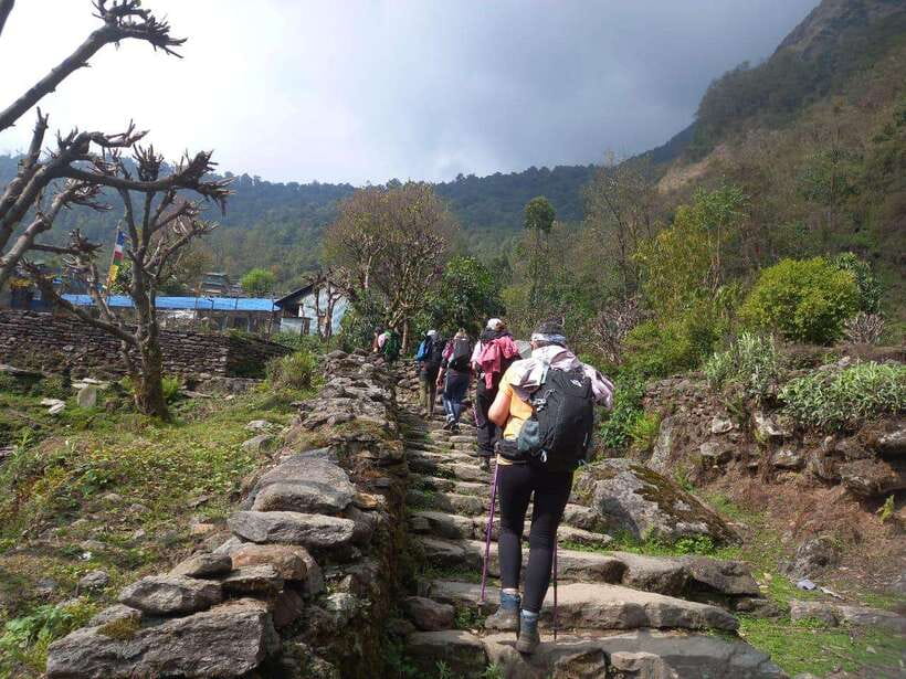 Kathmandu/Pokhara: 5-Day Annapurna Base Camp (ABC) Trek - Day 3: Machhapuchhre Base Camp to Annapurna Base Camp