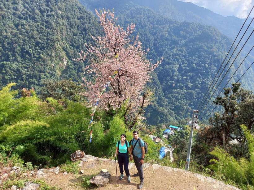 Kathmandu/Pokhara: 5-Day Annapurna Base Camp (ABC) Trek - Day 5: Jhinu Danda and the road to Pokhara