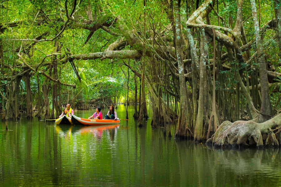 Khao Lak's Little Amazon: Canoe, Trek & Waterfall Day Trip - Key points to know before booking