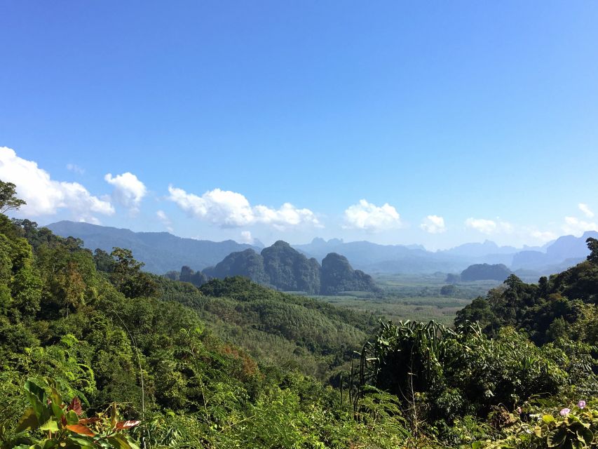 Khao Sok Jungle Day Trip - Jungle Trekking & Bamboo Rafting - A Long Day in Khao Sok, With More Than a Hike