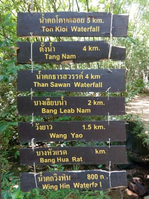 Khao Sok Jungle Day Trip - Jungle Trekking & Bamboo Rafting - Bamboo Rafting and Jungle Coffee