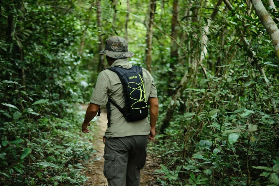 Khao Sok: Private Day Trekking, Jungle Dinner & Night Safari - Why the day-to-night format works so well