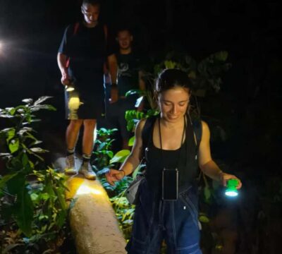 Khao Sok: Private Day Trekking, Jungle Dinner & Night Safari
