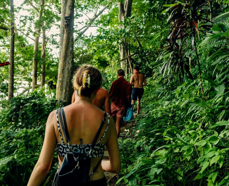 Khao Sok: Private Day Trekking, Jungle Dinner & Night Safari - The night safari, where the small creatures take over