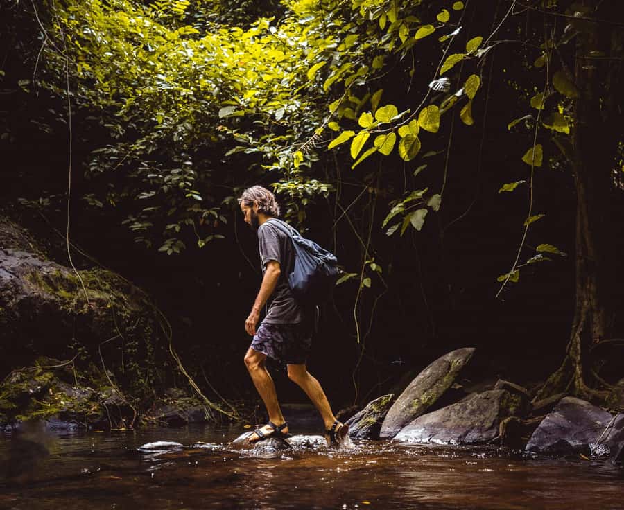 Khao Sok: Private Day Trekking, Jungle Dinner & Night Safari - What the guides add to the experience