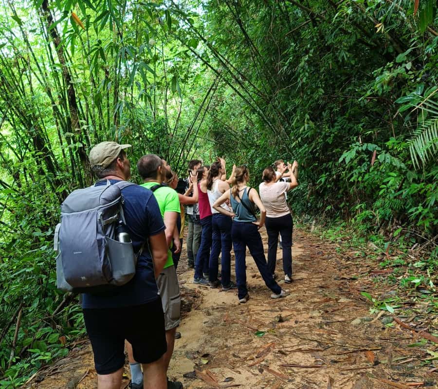 Khao Sok: Private Day Trekking, Jungle Dinner & Night Safari - Who should book this Khao Sok outing?